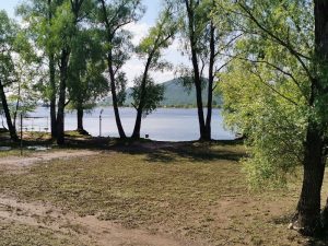 Берег реки Волга, поселок Волжский. Валочкина Анна Владимировна, июнь 2020