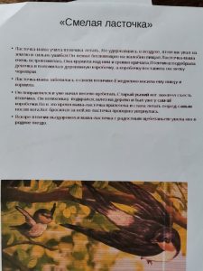 IMG 20200424 132613