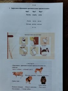IMG 20200424 133819